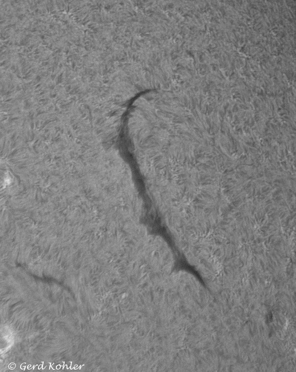 2026-07-12-Filament.jpg