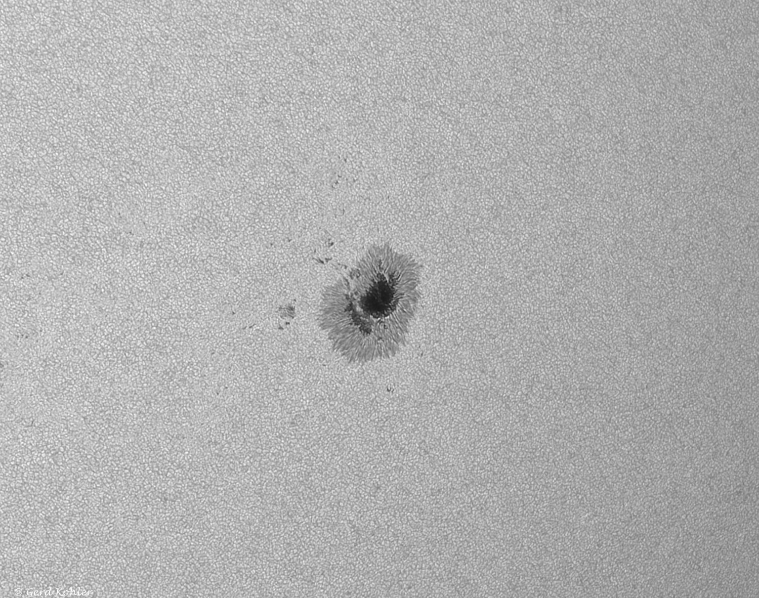 2026-07-13-AR-14482.jpg