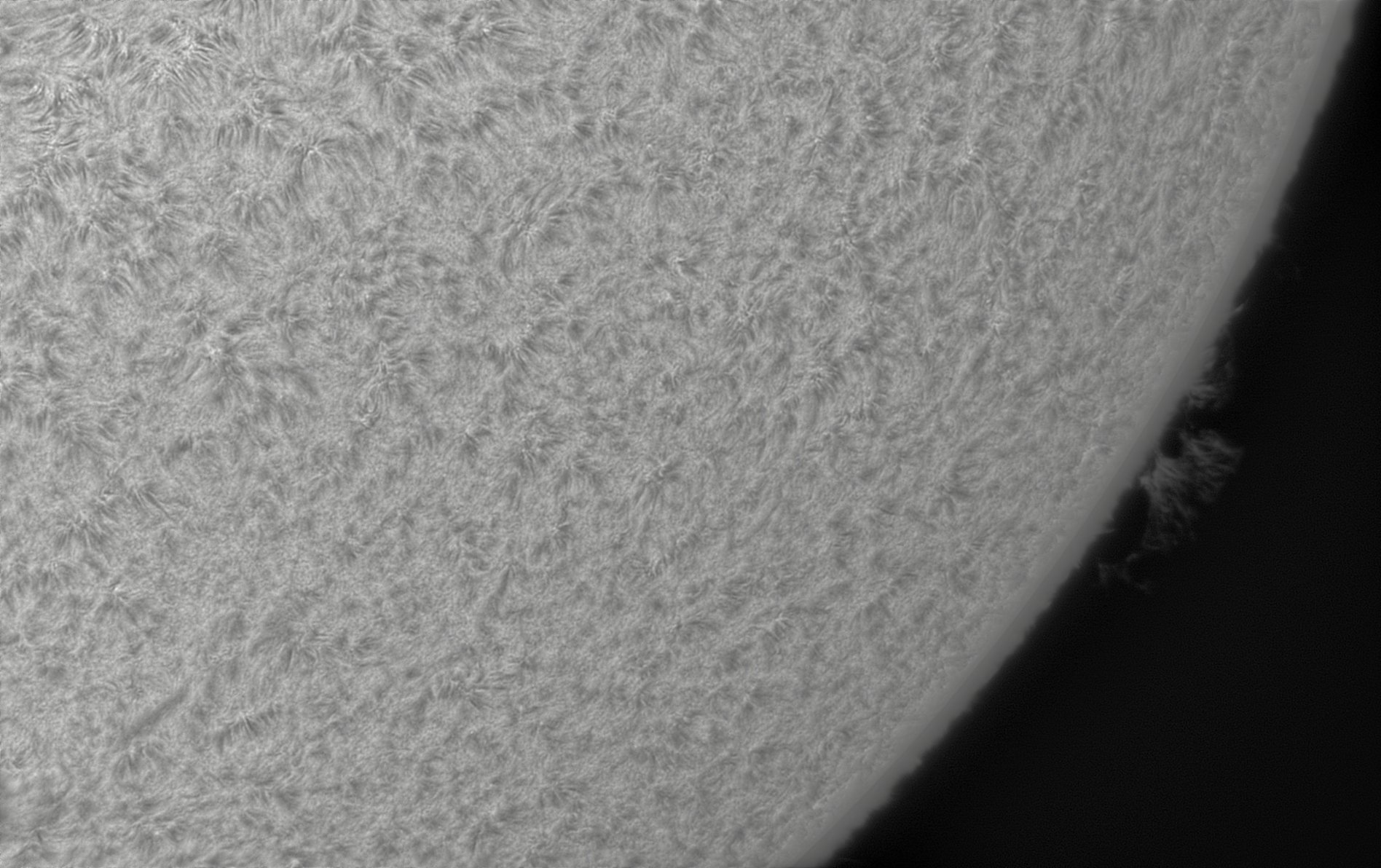 2026-07-21-0930_5-CapObj_lapl2_ap7950.jpg