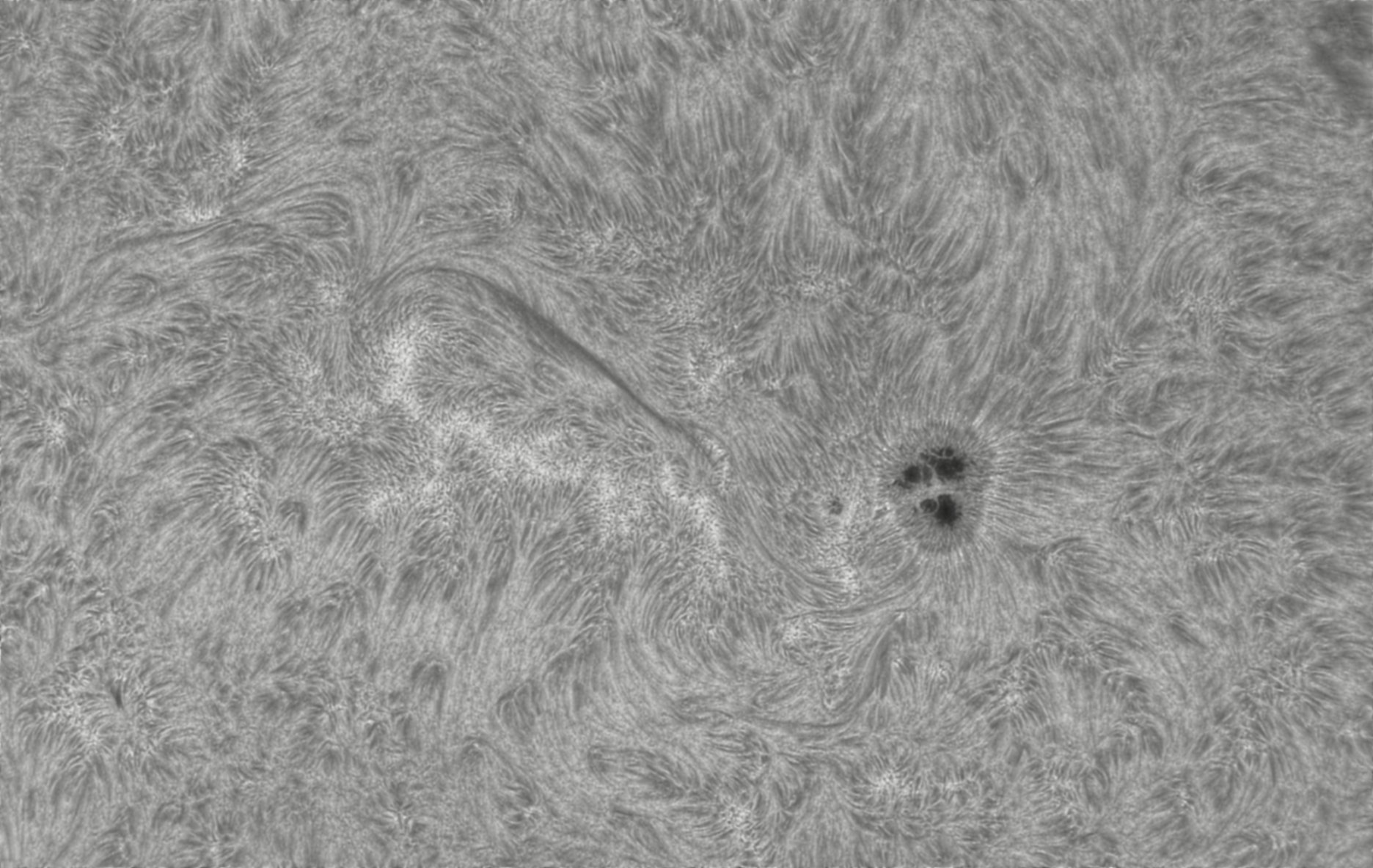 2026-07-25-0644_7-CapObj_lapl4_ap9420.jpg