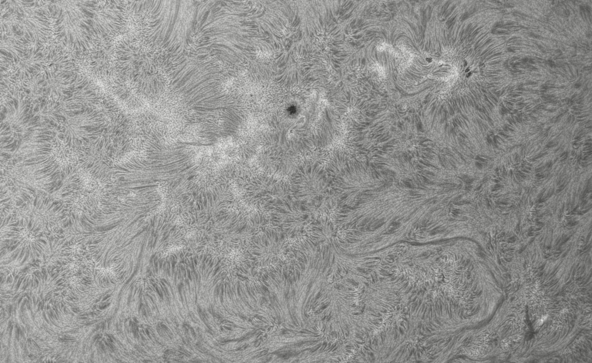 2026-07-28-0706_4-CapObj_lapl4_ap9443.jpg