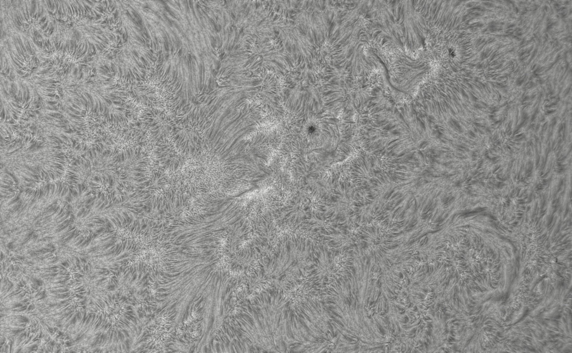 2026-07-29-0655_8-CapObj_lapl4_ap9535.jpg