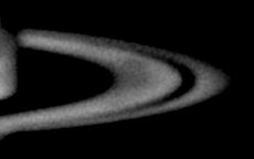 2026-07-31-0207_4-L_lapl5_ap40.jpg