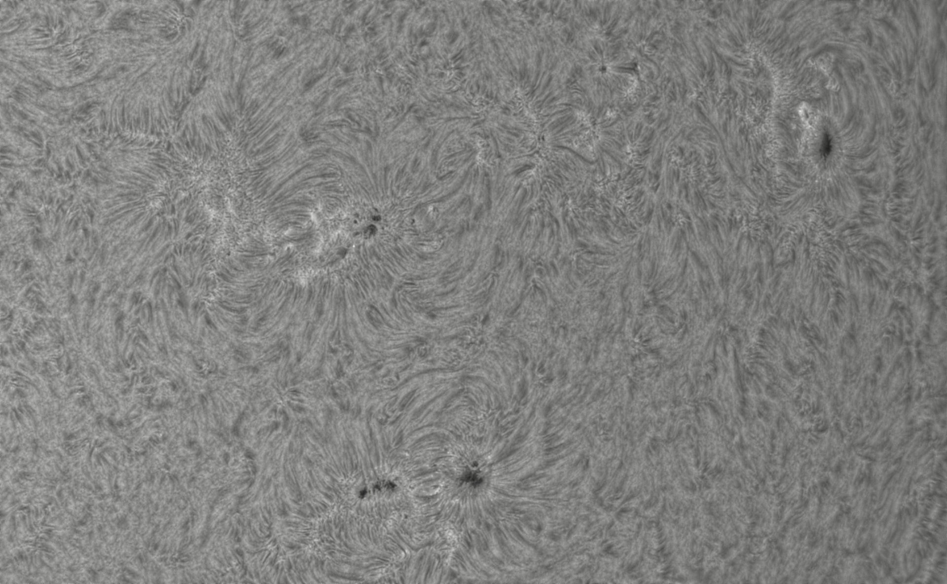 2026-08-02-0725_0-CapObj_lapl4_ap9660.jpg