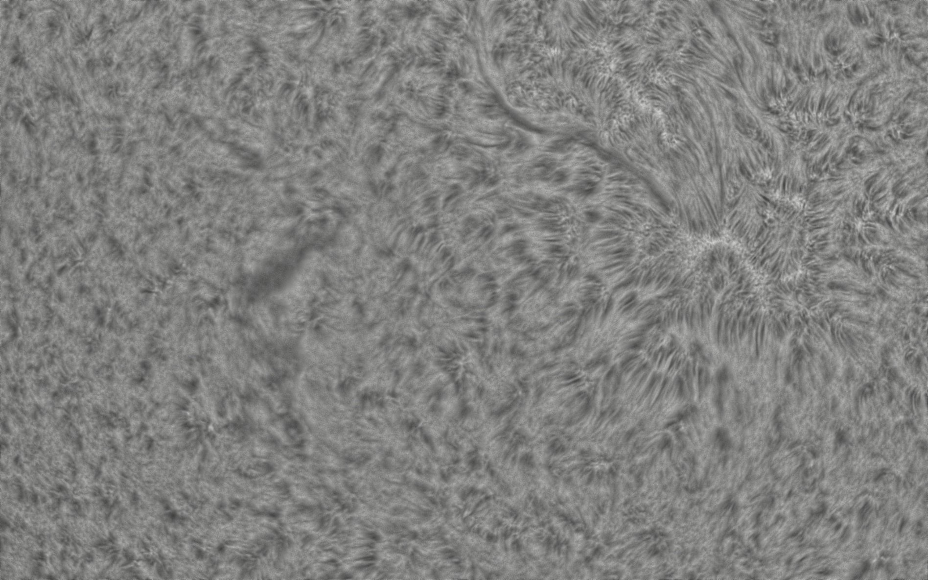 2026-08-02-0743_7-CapObj_lapl4_ap9536.jpg