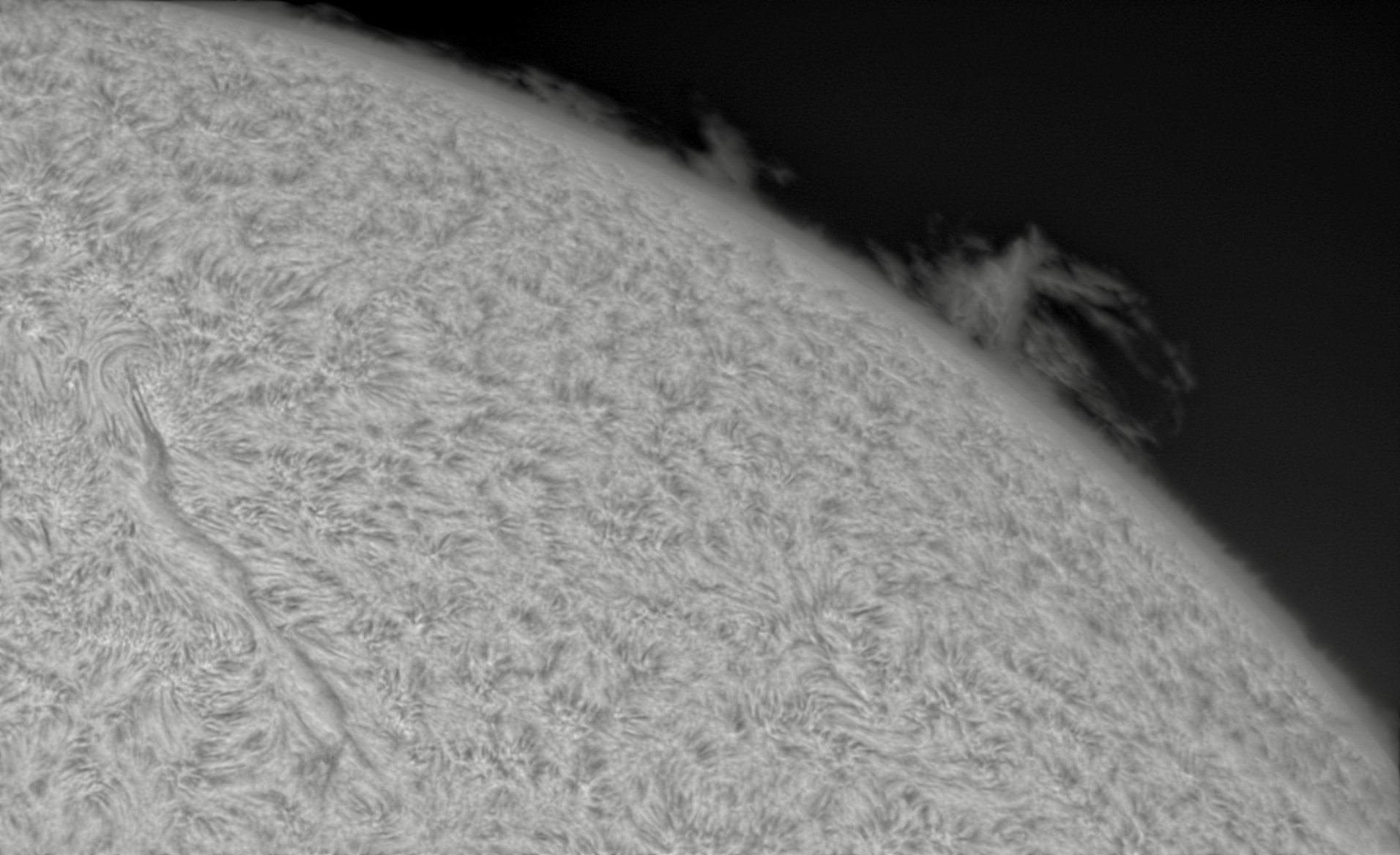 2026-08-03-0730_8-CapObj_lapl4_ap7243.jpg