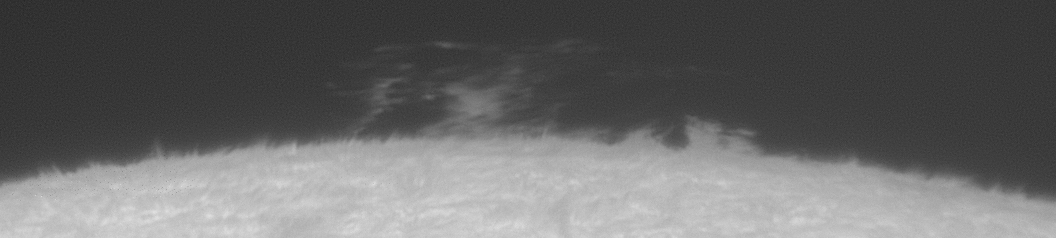 2026-08-05-0909_1-L_g4_ap32_conv_aligned_pipp.gif