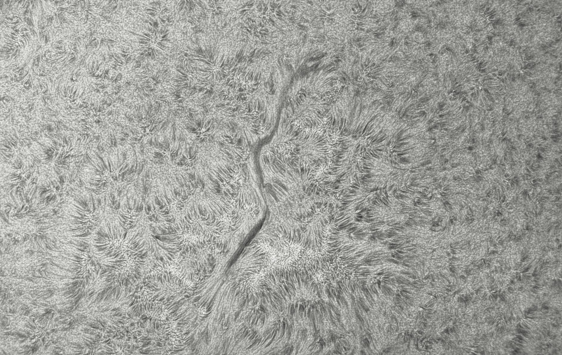 2026-08-07-0644_8-CapObj_lapl4_ap9568.jpg