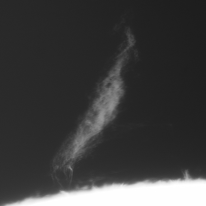 2026-08-07-0655.gif