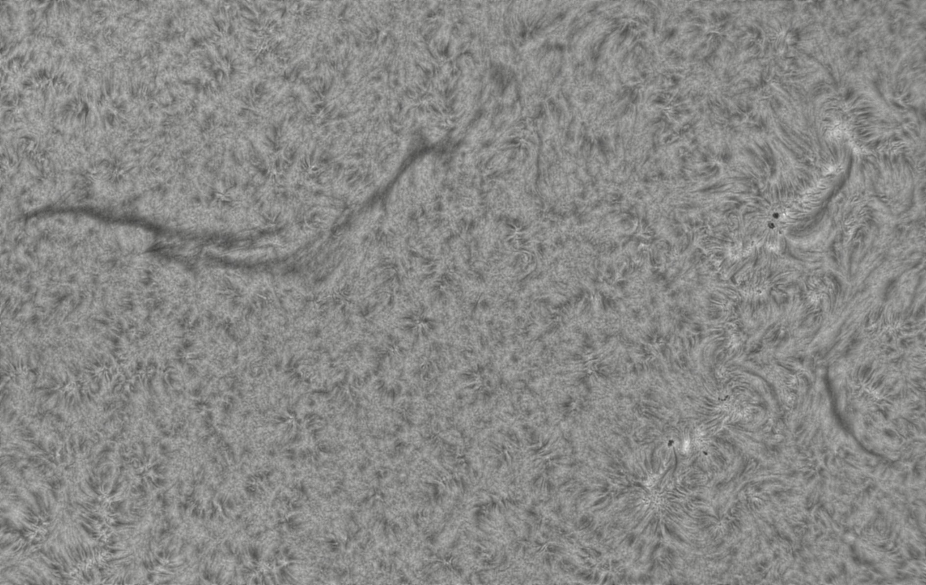 2026-08-13-0759_4-CapObj_lapl4_ap9568.jpg