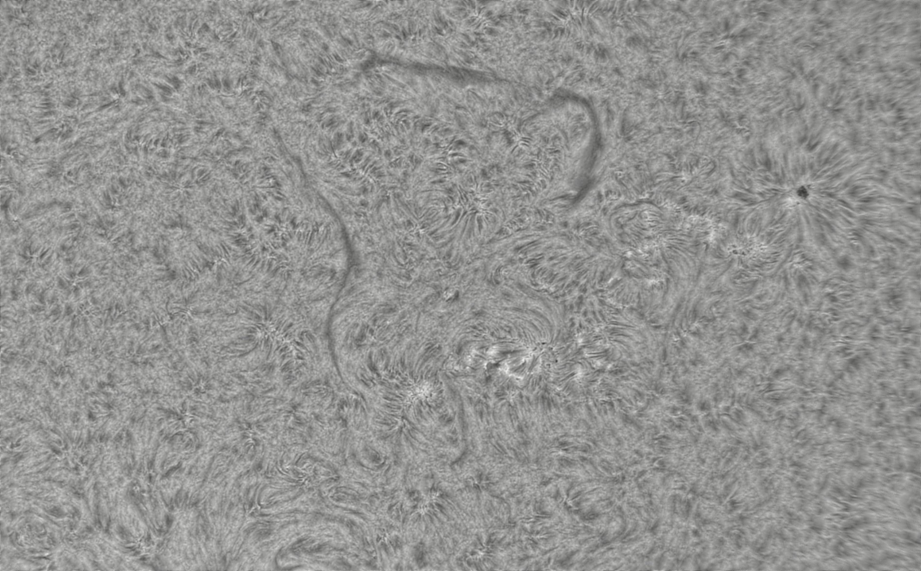 2026-08-14-0716_0-CapObj_lapl4_ap9491.jpg