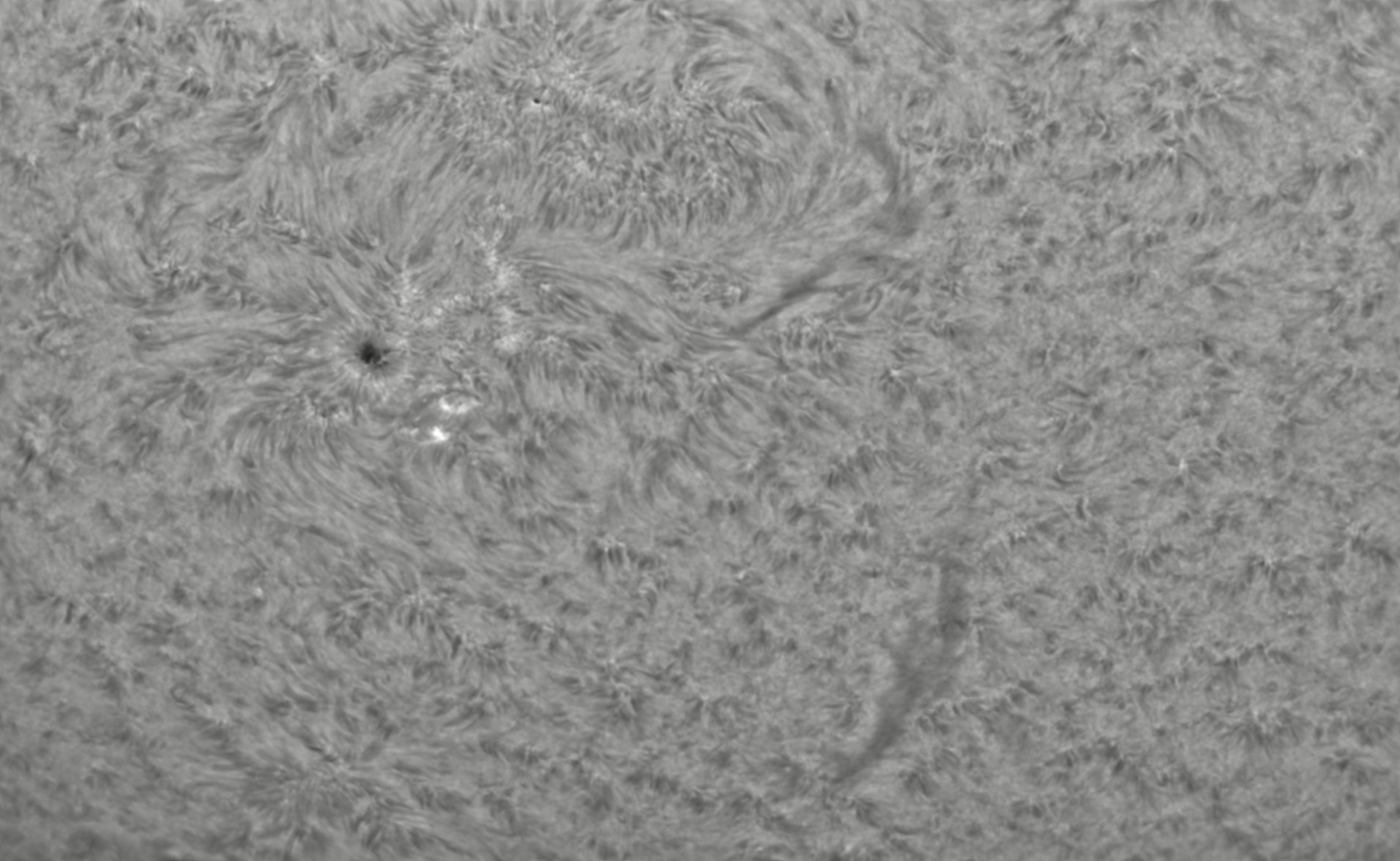 2026-09-09-0734_9-CapObj_lapl5_ap4154.jpg