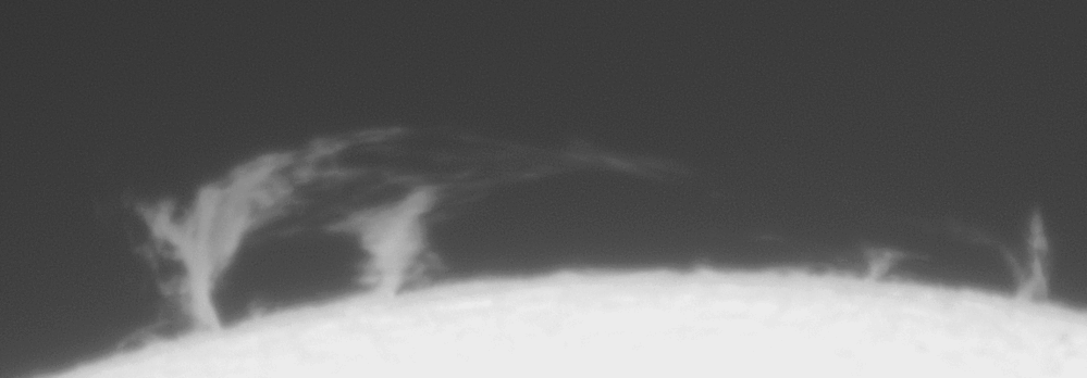 2026-10-11-1153_4-L_g4_ap218_conv_aligned_pipp.gif