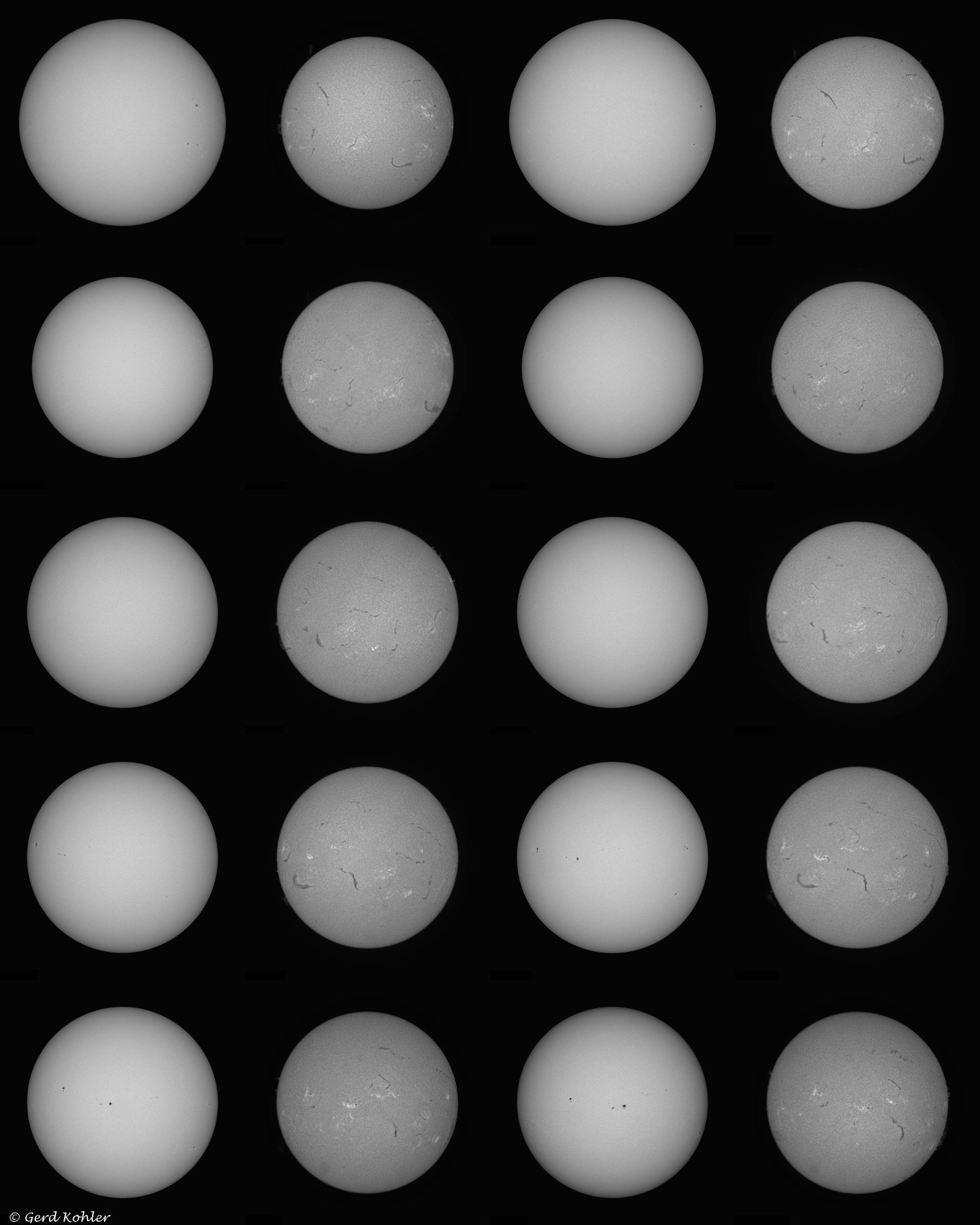 2026-Rotation-August.jpg