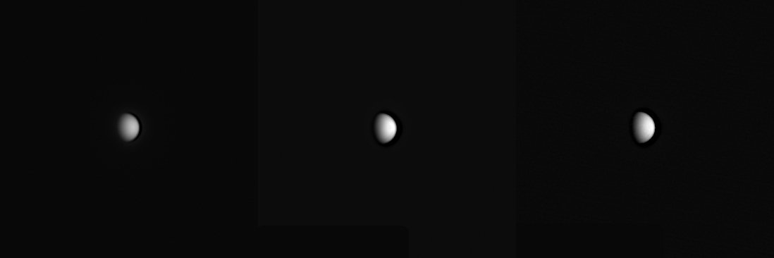 2026-Venus-01.jpg