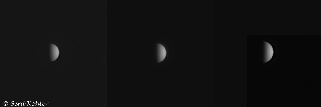 2026-Venus-03.jpg