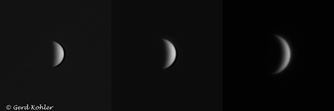 2026-Venus-04.jpg