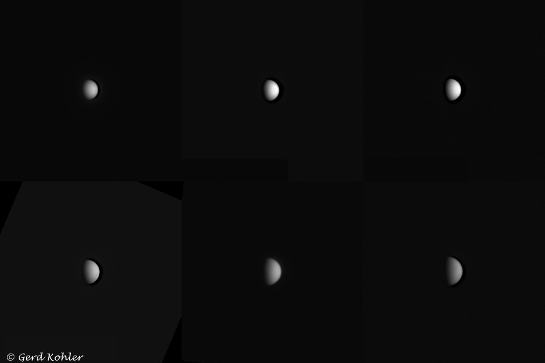 2026-Venus.jpg