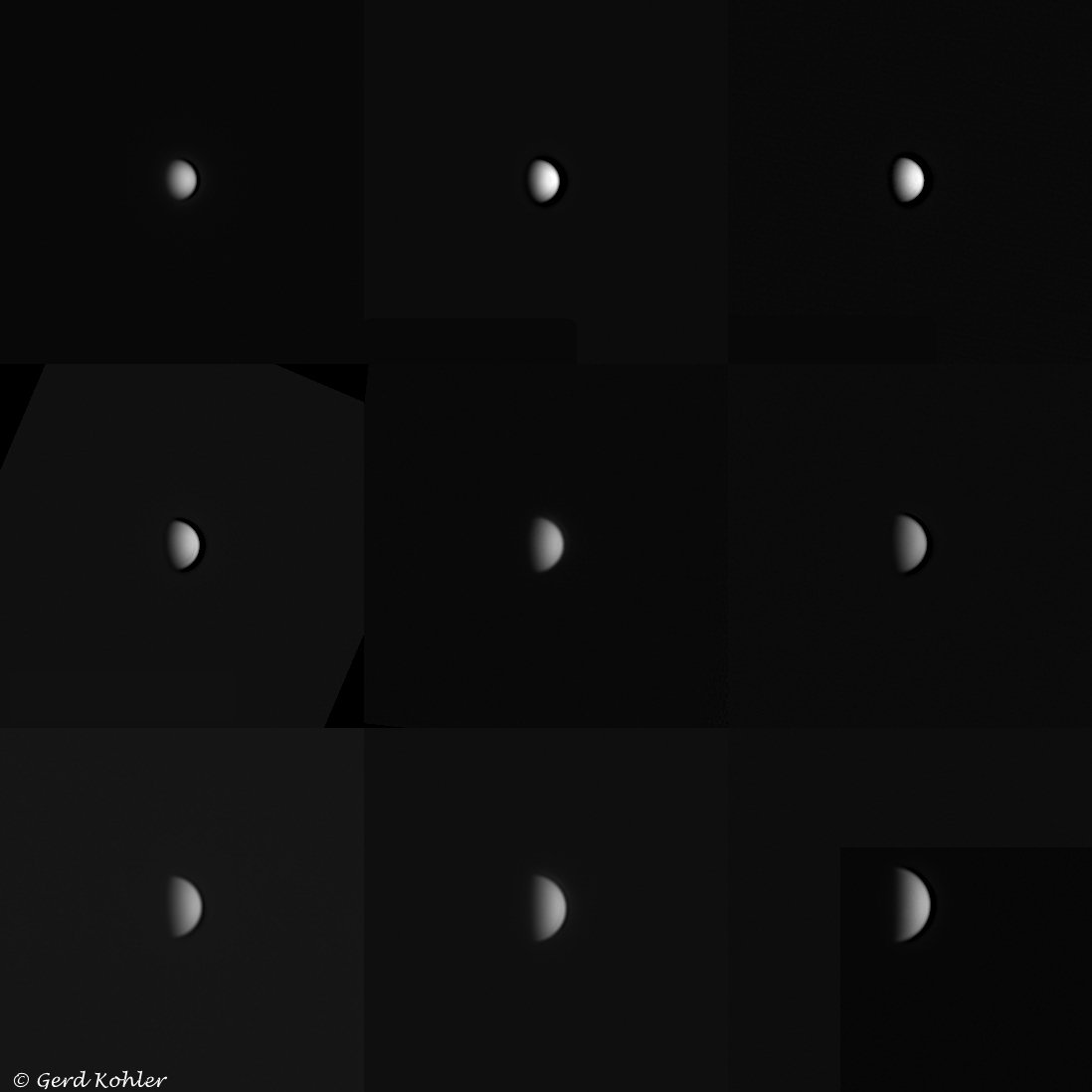 2026-Venus.jpg