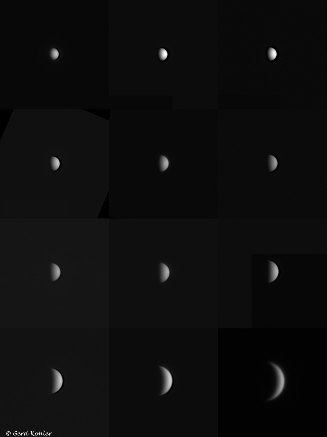 2026-Venus.jpg