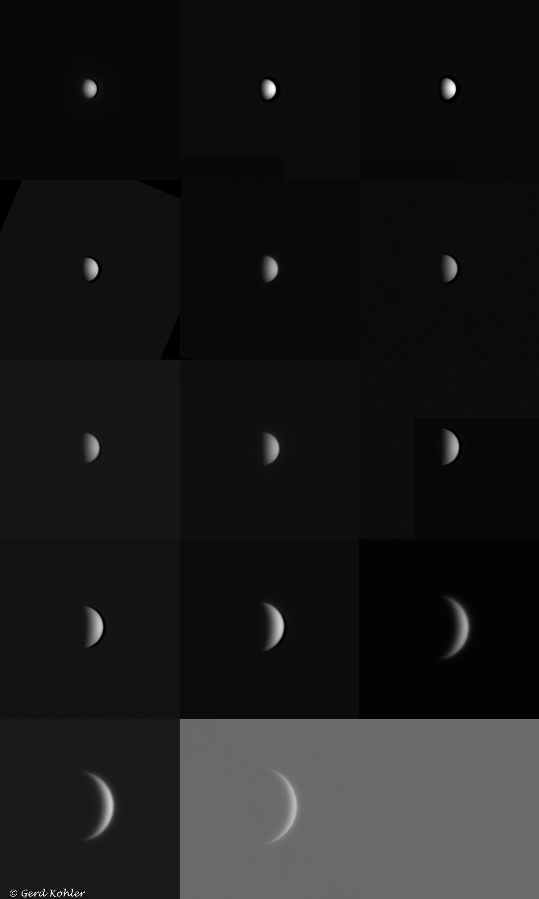 2026-Venus.jpg
