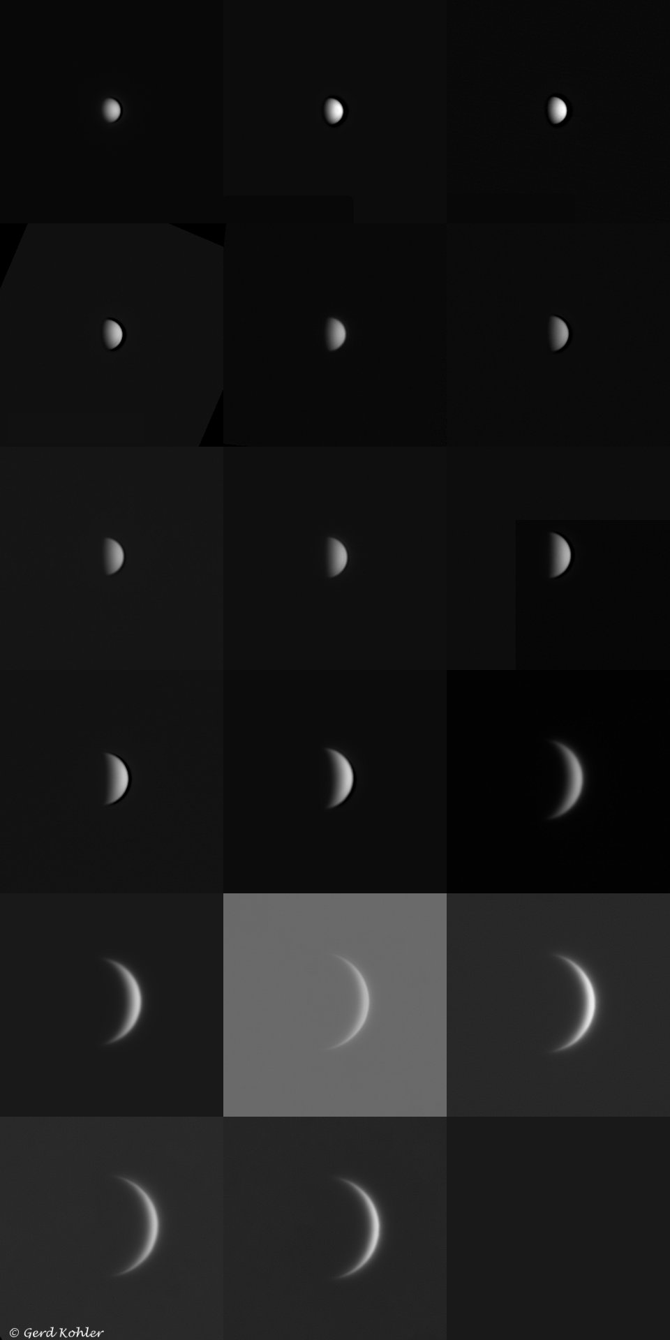 2026-Venus.jpg