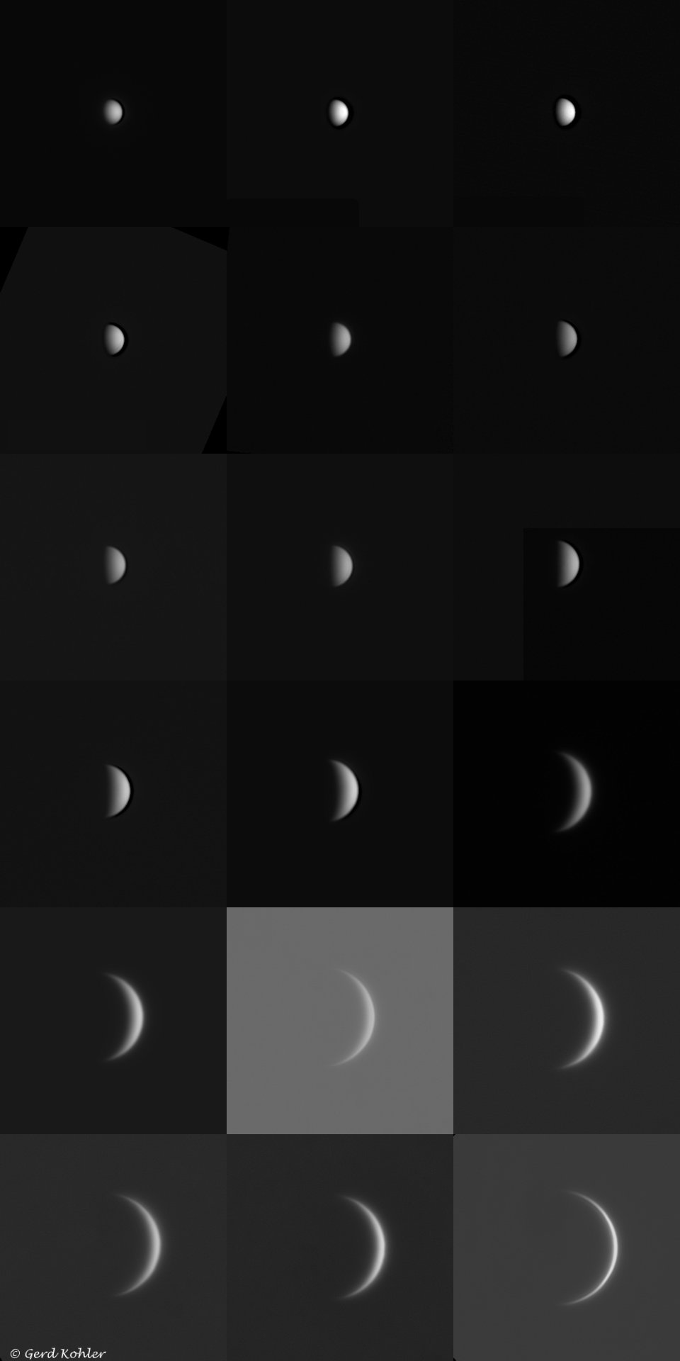 2026-Venus.jpg