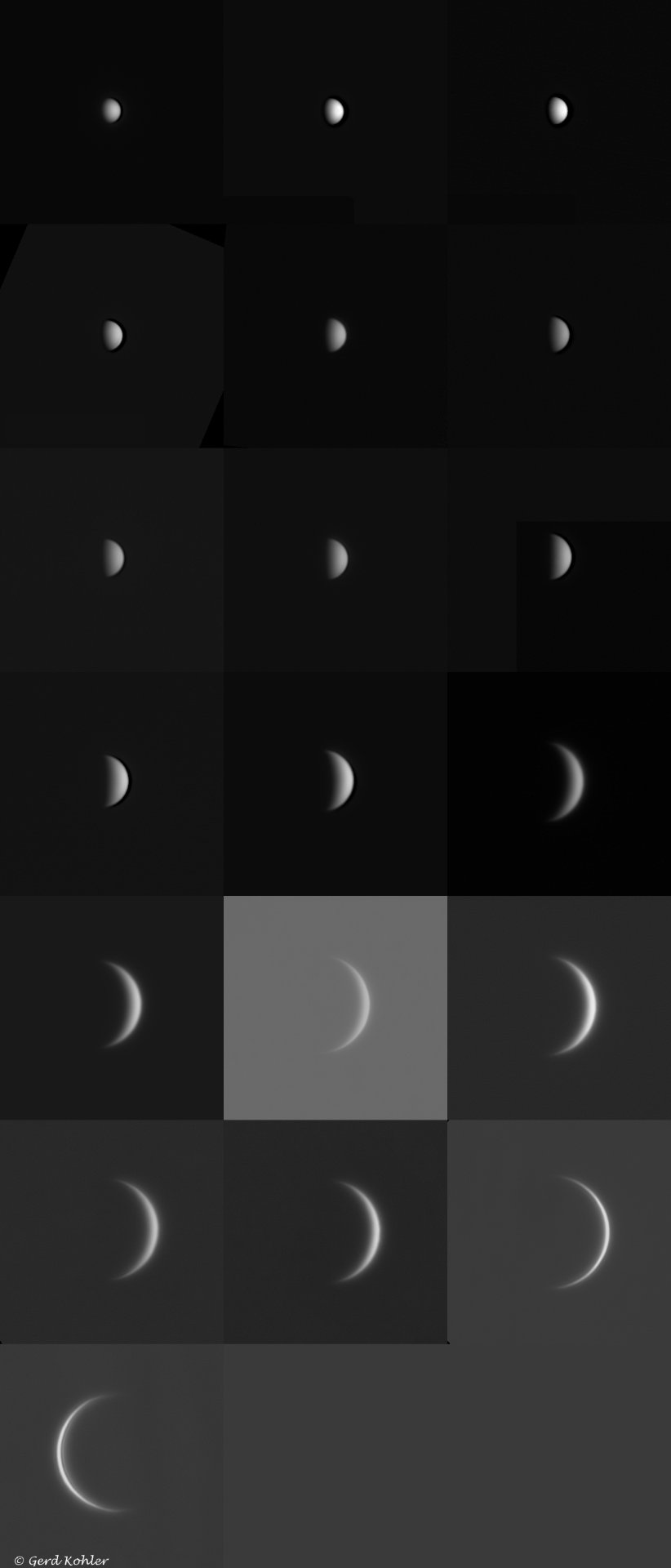 2026-Venus.jpg
