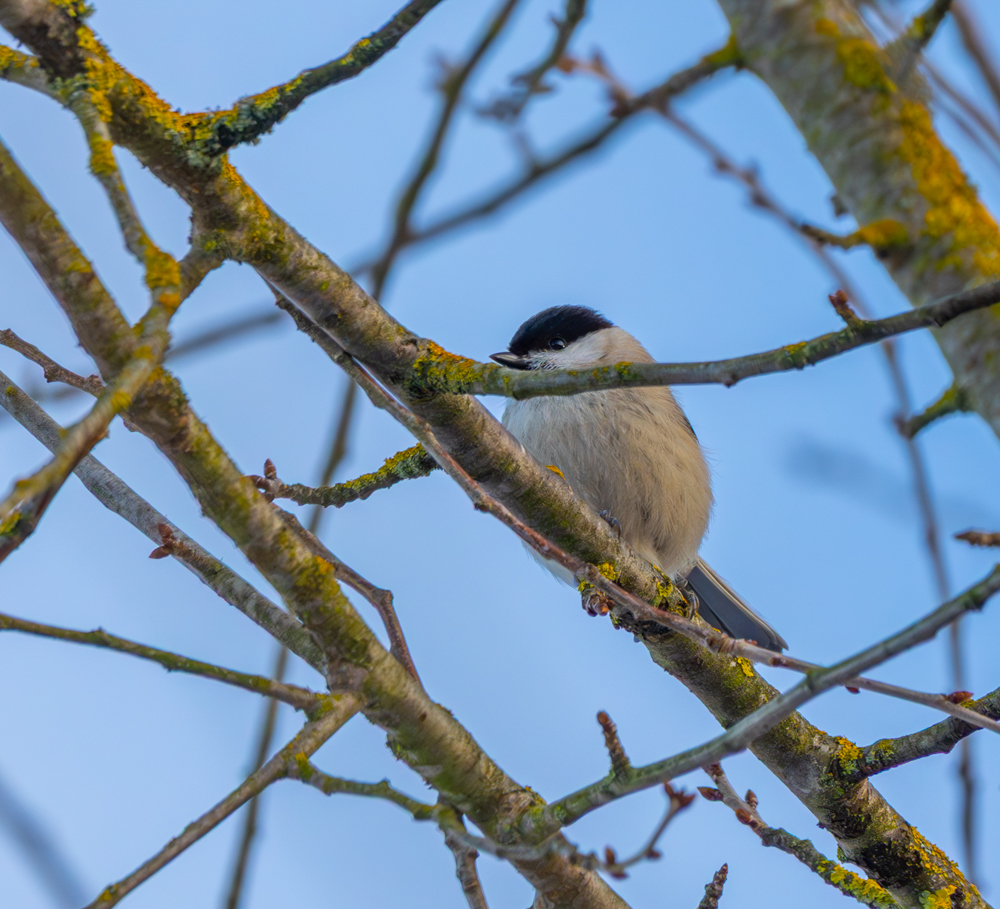 20260110-_DSC1743.jpg