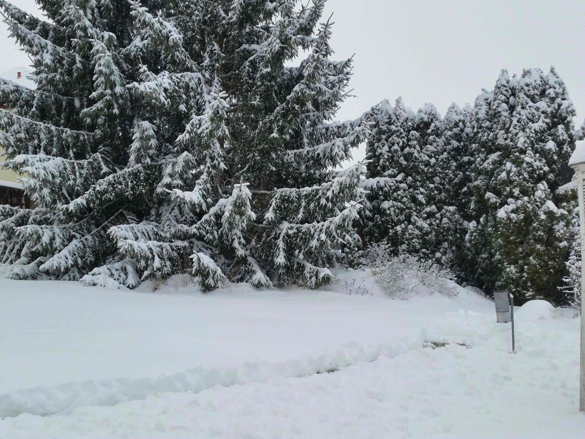 20260110_095952.jpg