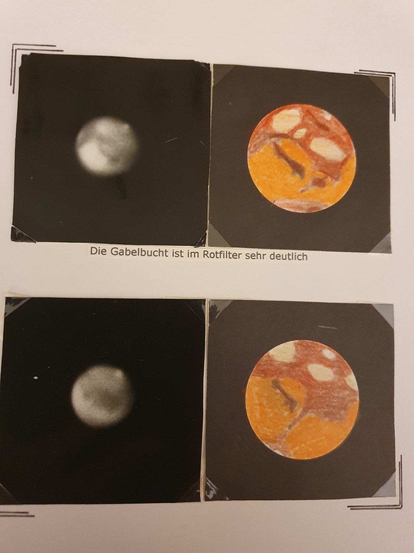 20260314_203324.jpg