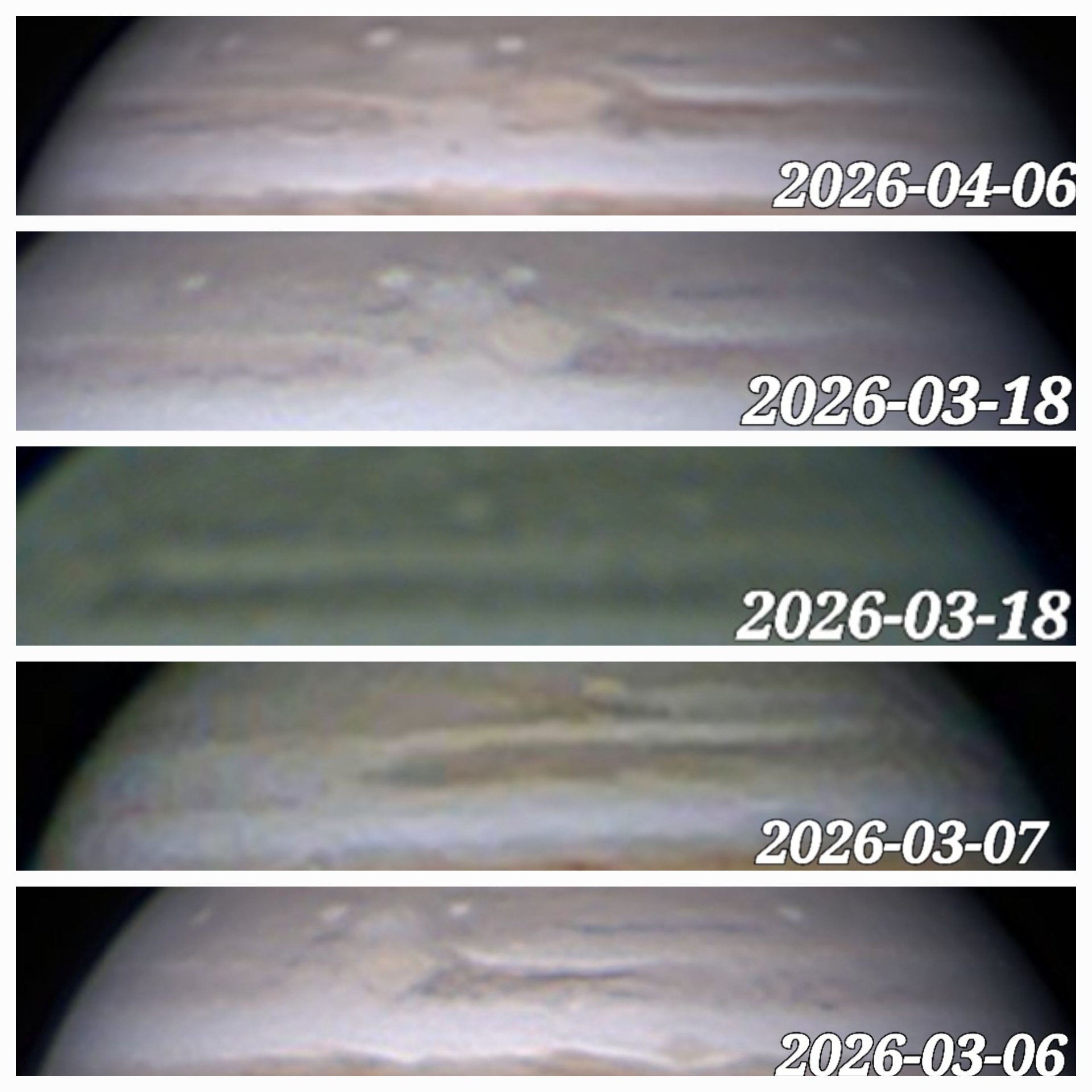 20260408_110641.jpg
