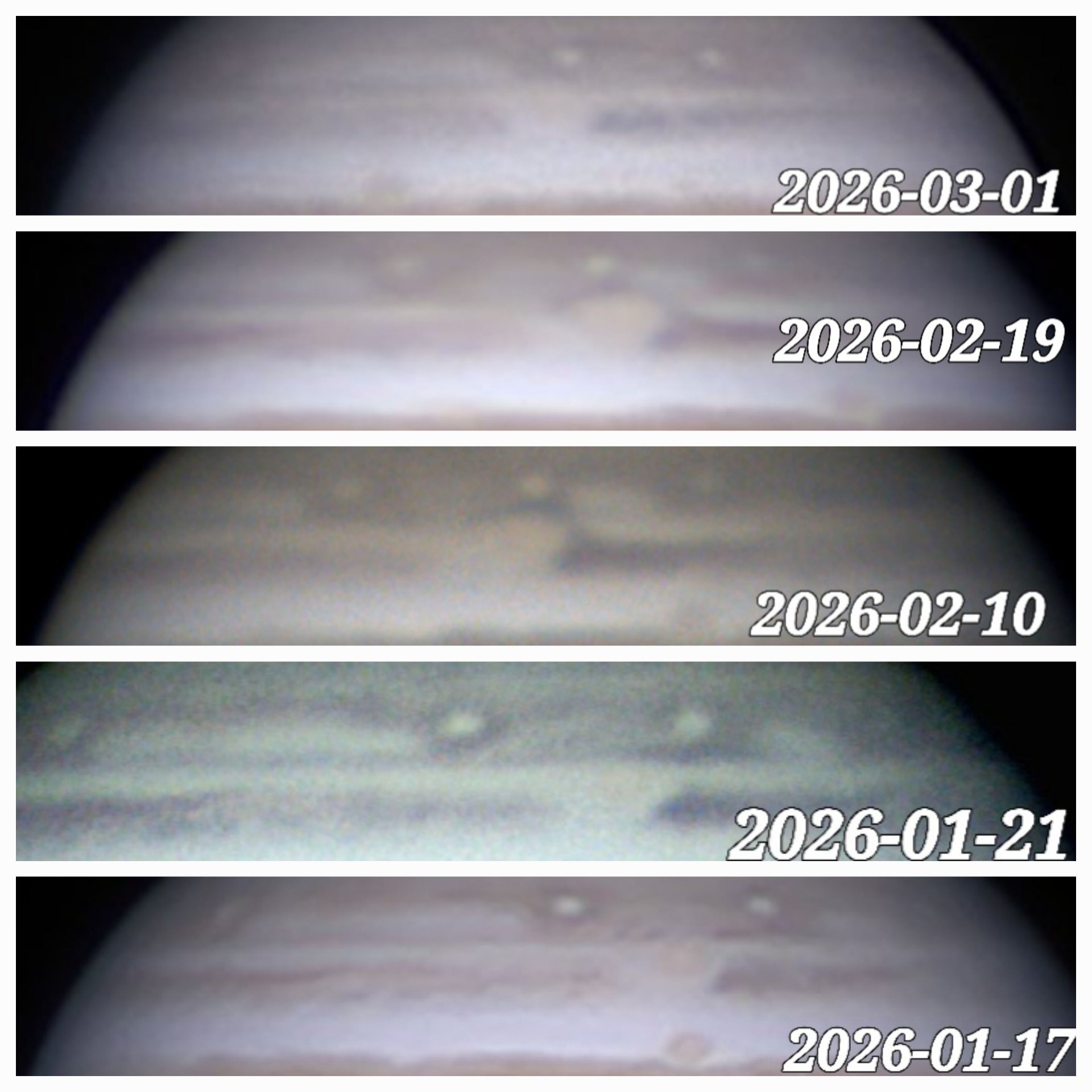 20260408_111234.jpg