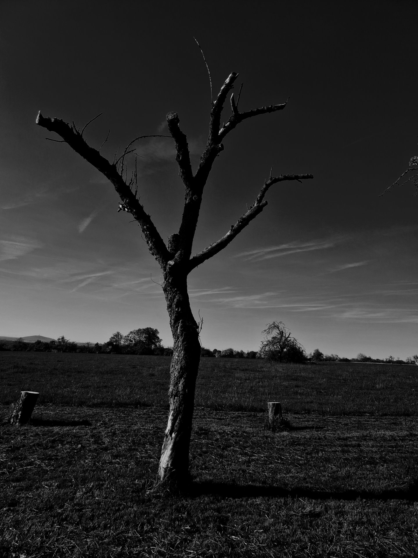 20260424_175400.jpg