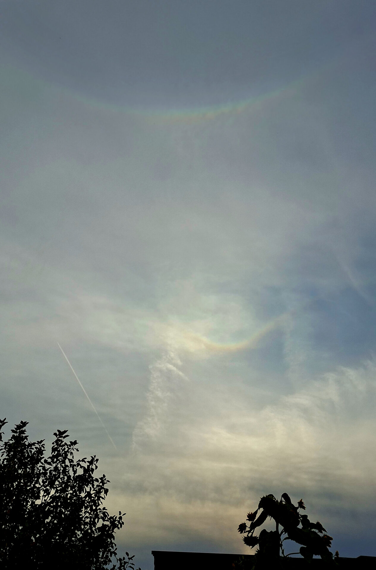 20261001-1747_   n.jpg