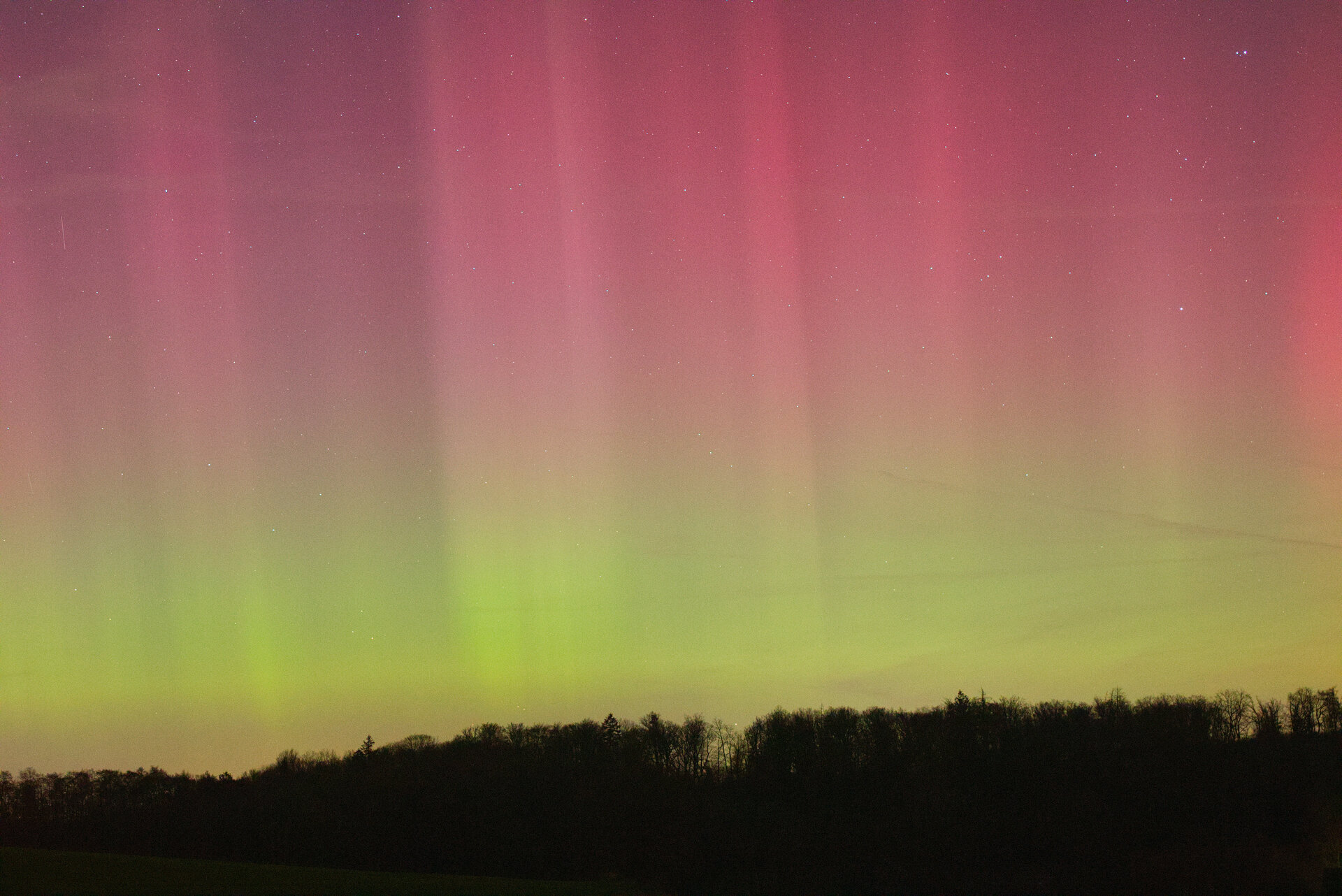 2026_01_20_3048.jpg