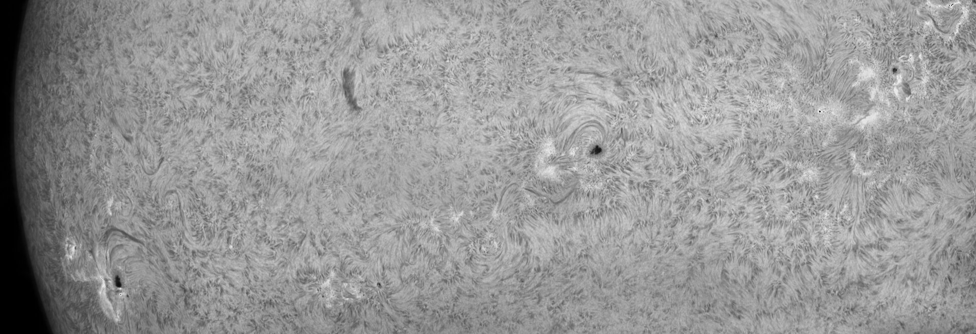 2026_07_29_Sonne Mosaik_0814.jpg