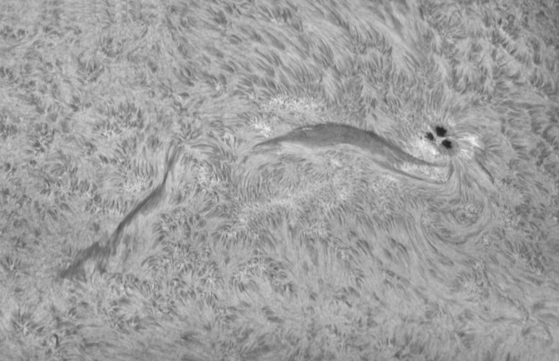 2026_07_29_Sonne_0747_AR4492.jpg