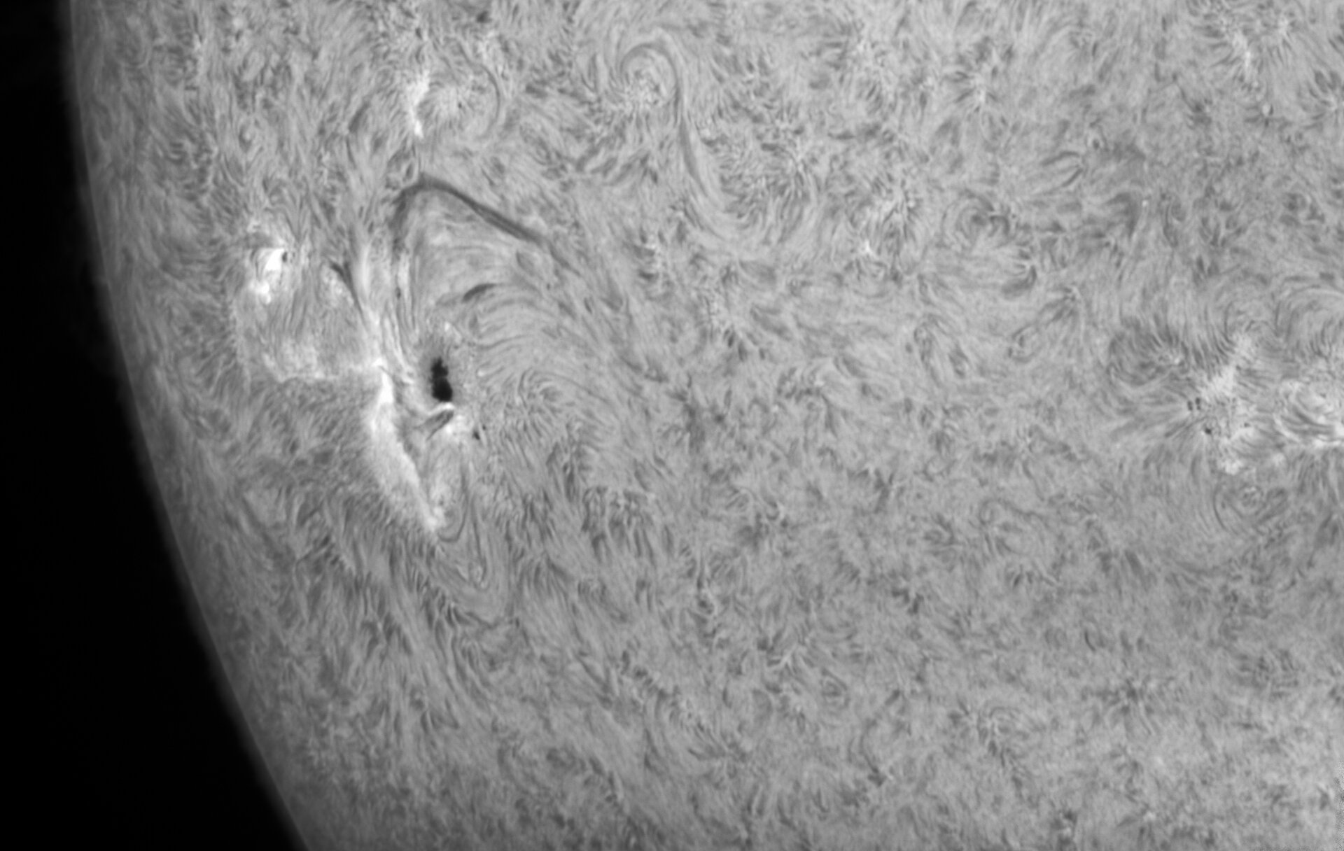 2026_07_29_Sonne_0814_AR4498.jpg