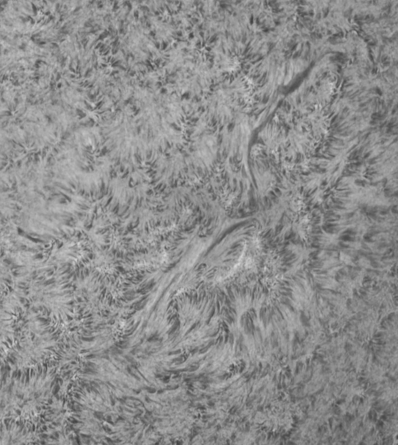 2026_08_09_Sonne_075519_Fil.jpg