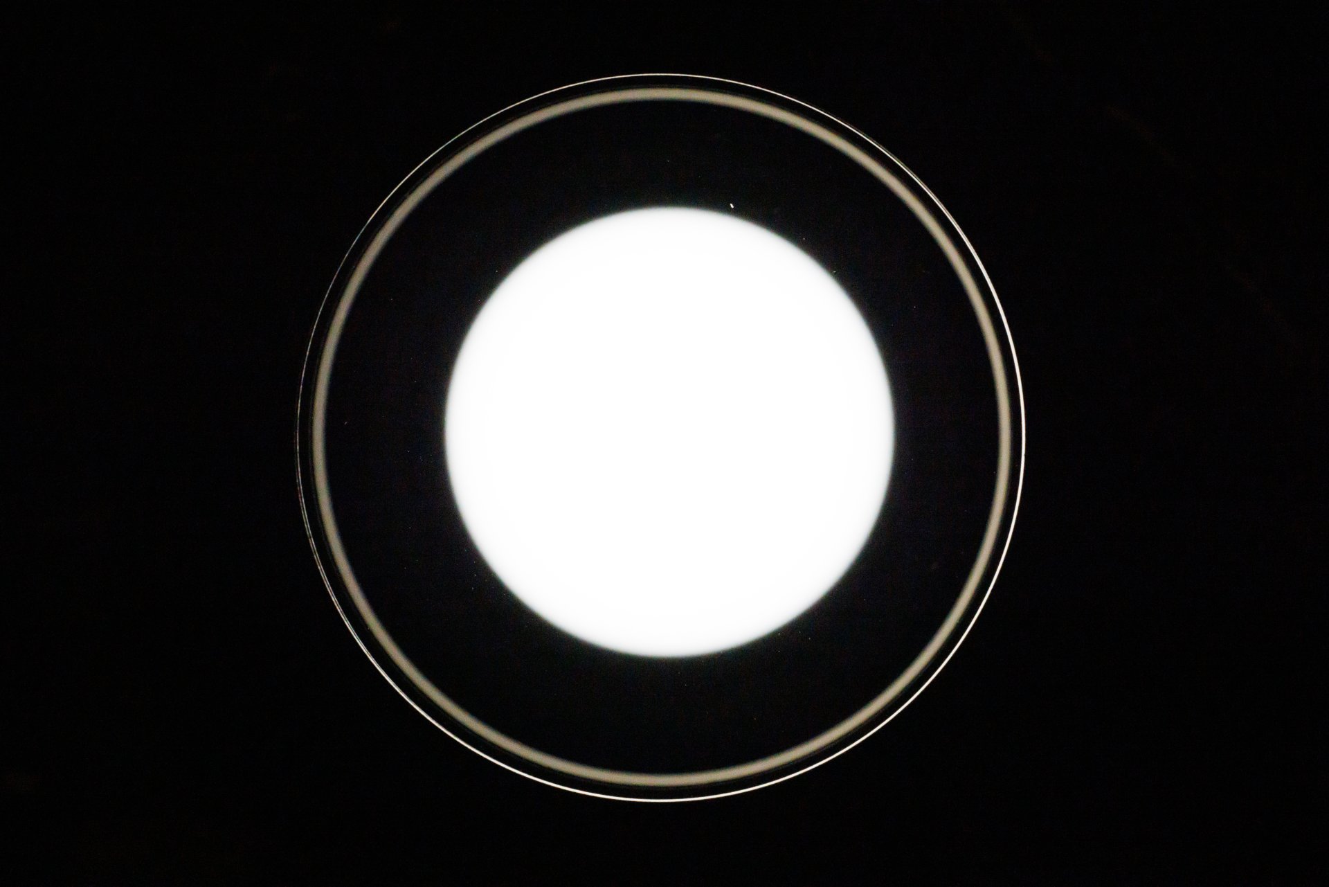 203A8629.JPG