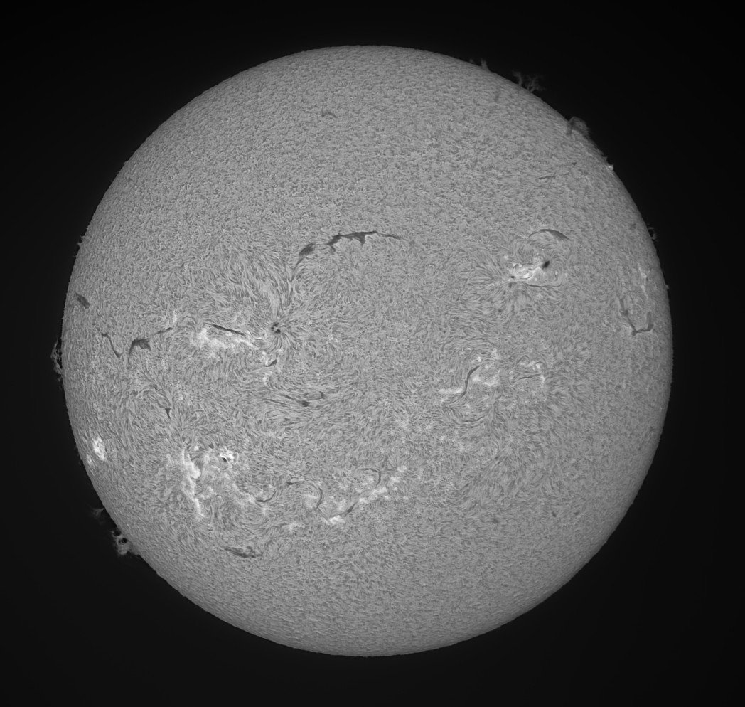 24-07-26-m.jpg