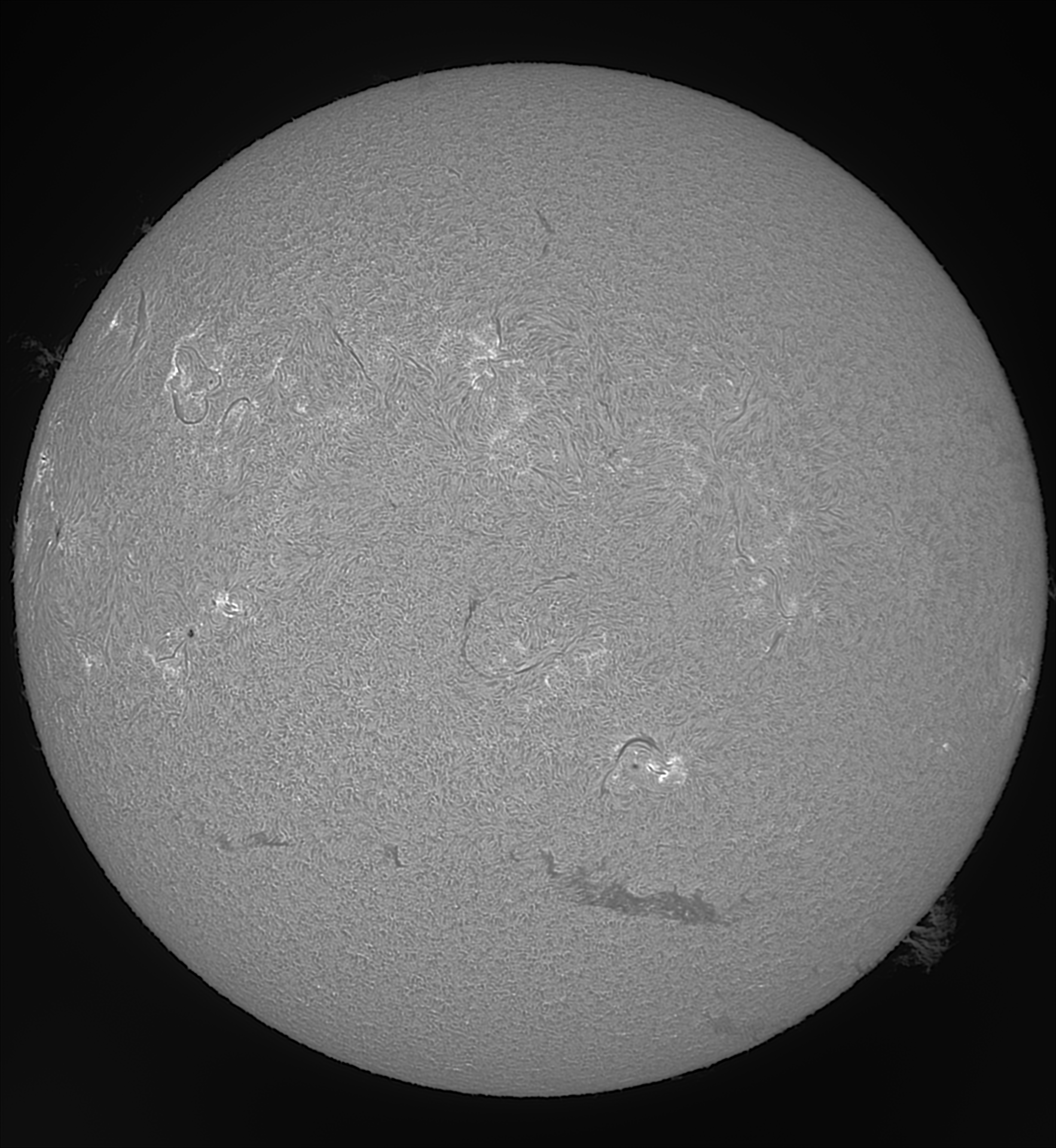 24_05_26_lapl2_ap2512_stitch_WS.png