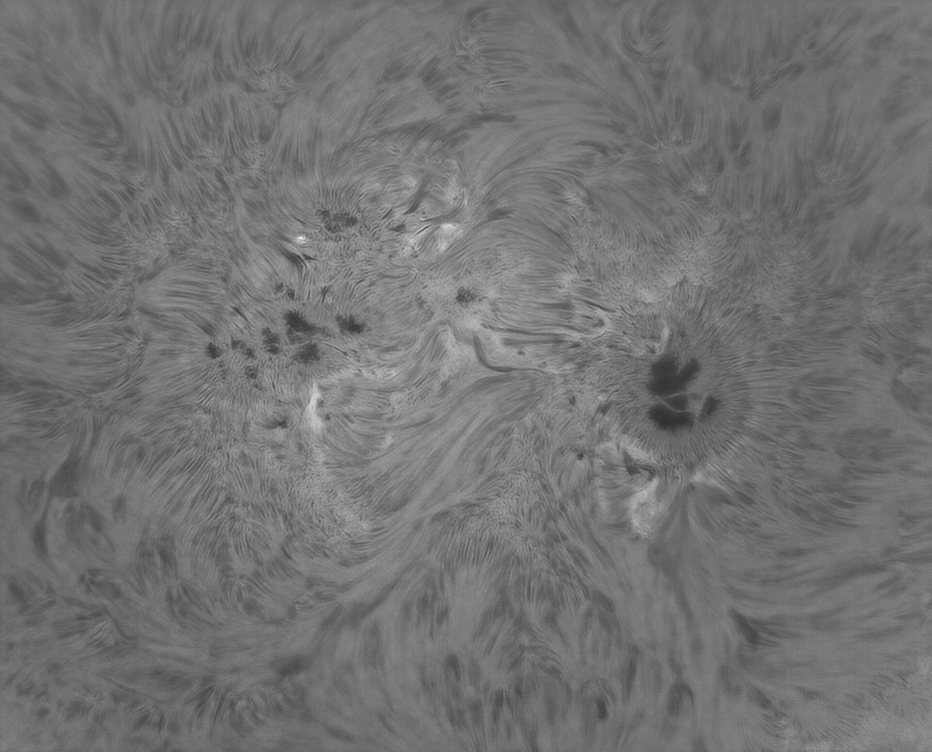 260701_AR4478_WEB.jpg