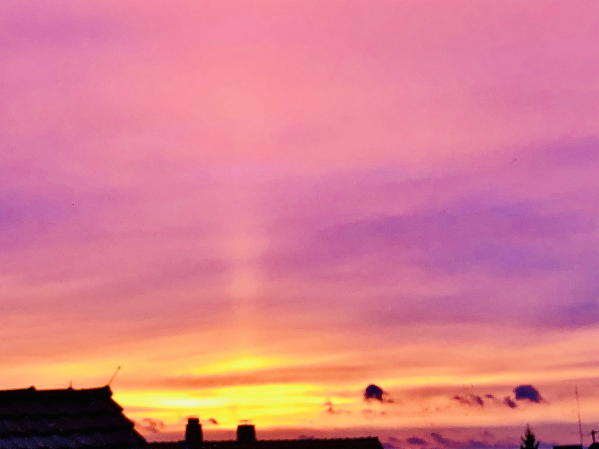 2613F36B-9CFF-44C7-905A-1D762E113F38.jpeg