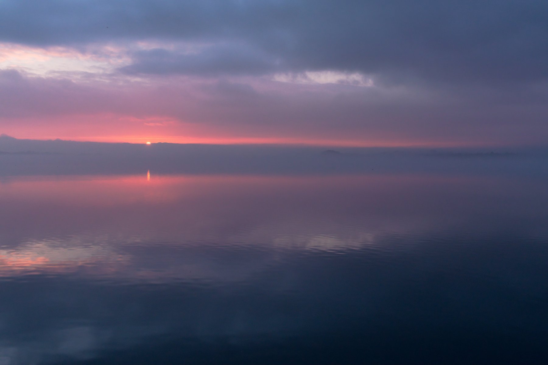 27.11.20_Blankensee_Nebel_II.jpg