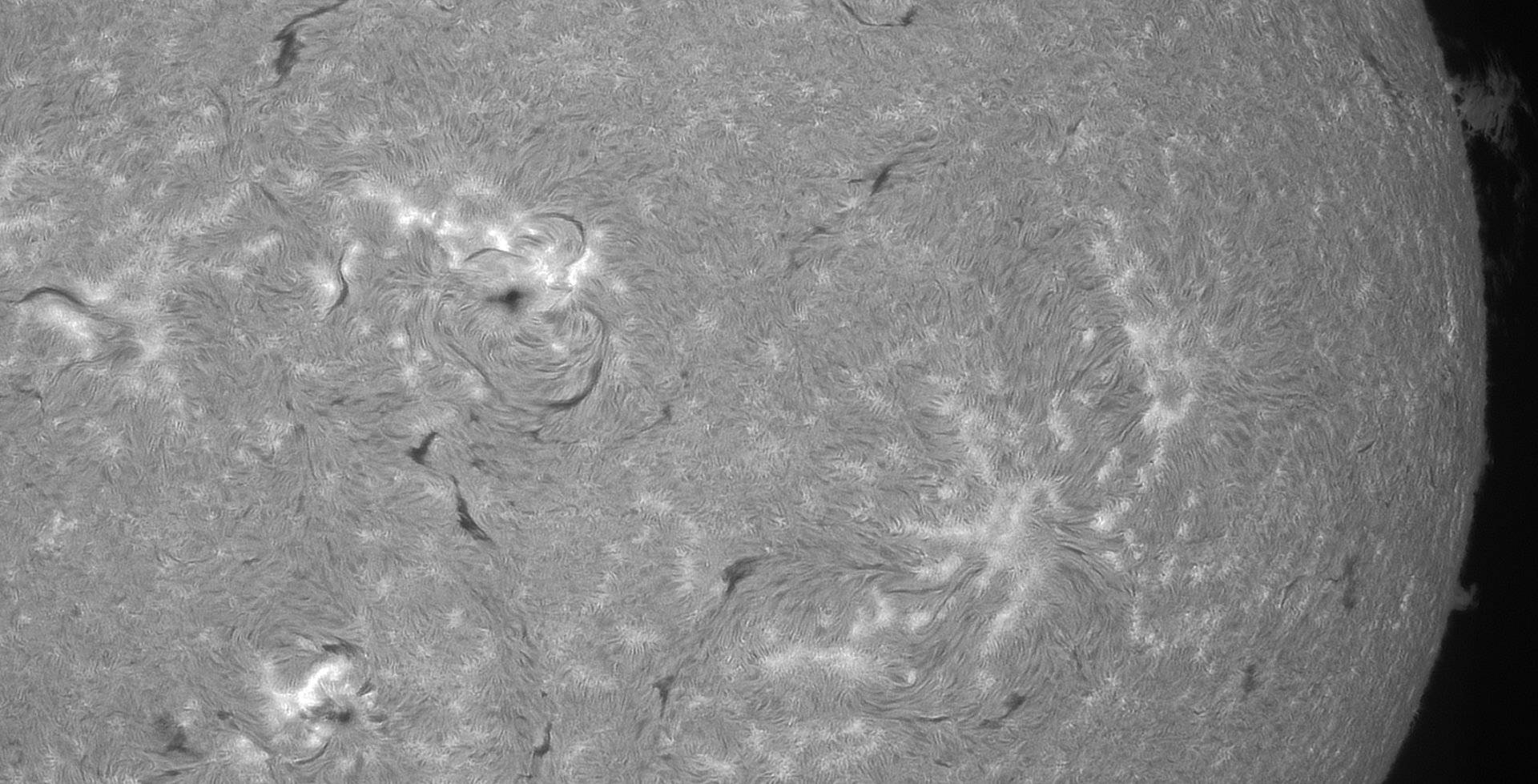 270823-Ha-106mm-stack11-crop.jpg
