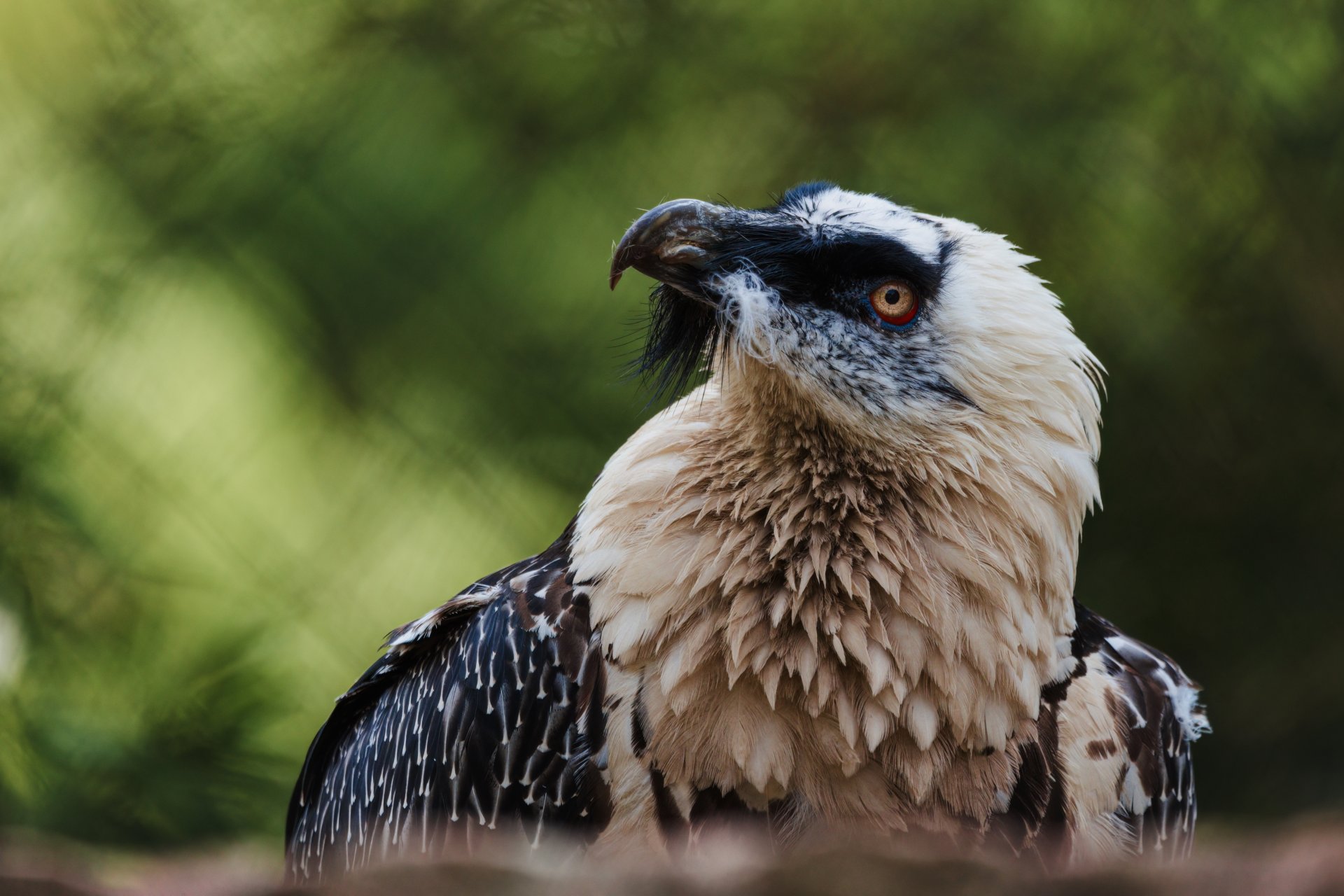 28.07.22_Tierpark_I.jpg