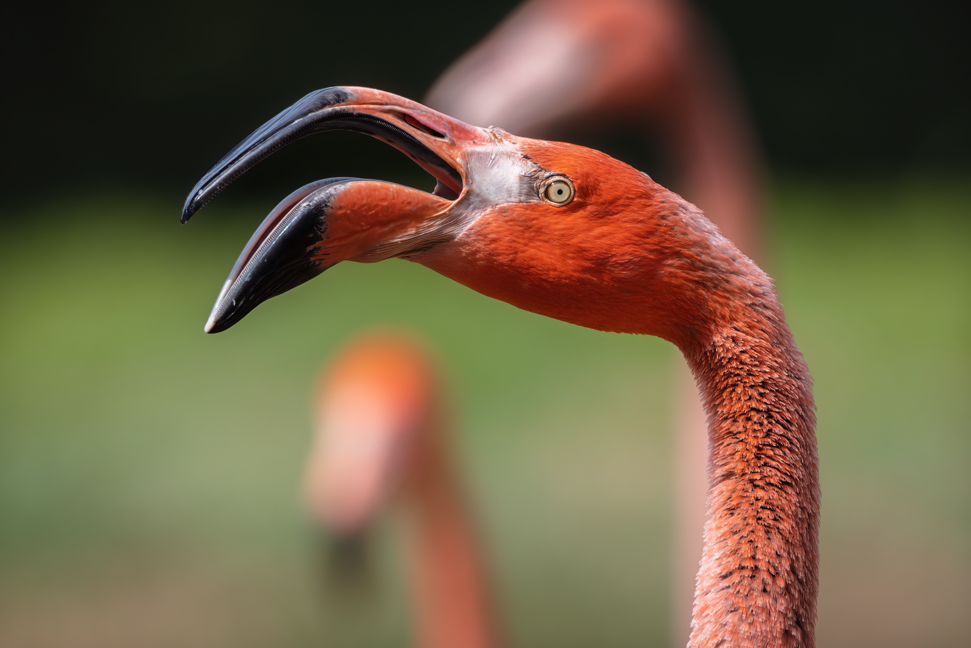 28.07.22_Tierpark_V.png