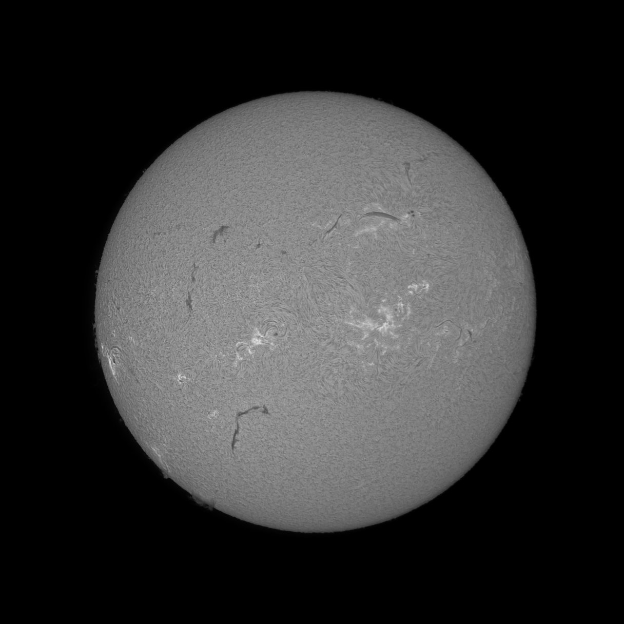 28-07-26-m.jpg